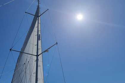 Hunter Legend 356  "AMELIA"