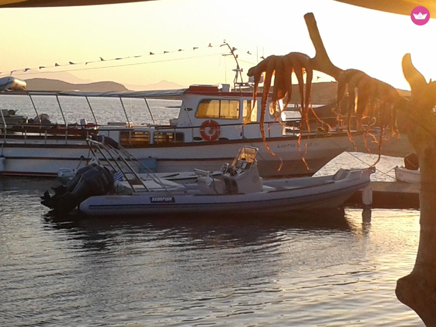 Charter RIB Scorpion 860 Athens