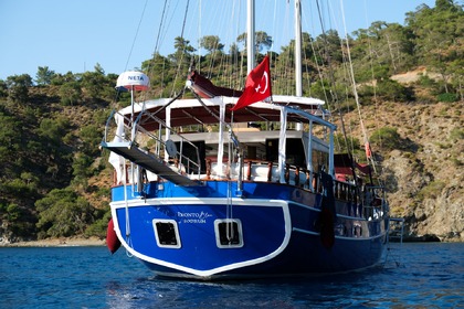 GULET PRONTO BLUE REWED 2023