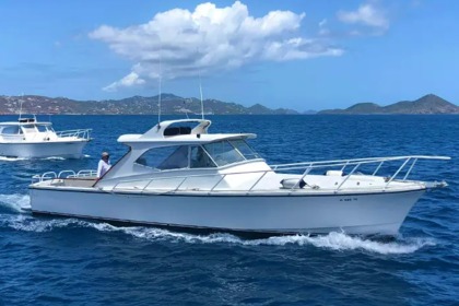 Charter Motorboat Power Cruiser 42 St. Thomas