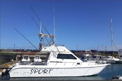 Location Bateau à moteur Cat 365 Castillo Caleta de Fuste