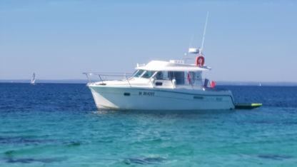 Location Bateau à moteur Ocqueteau 900 Morgat