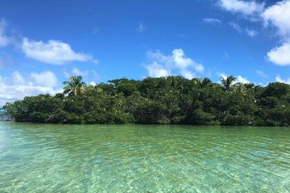 barca per wakeboarding ilets e mangrovie