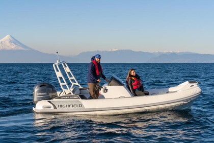 Miete Boot ohne Führerschein  Highfield 520 Sport Olbia