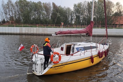 Janmor 28 sy Palomino Zalew wiślany.