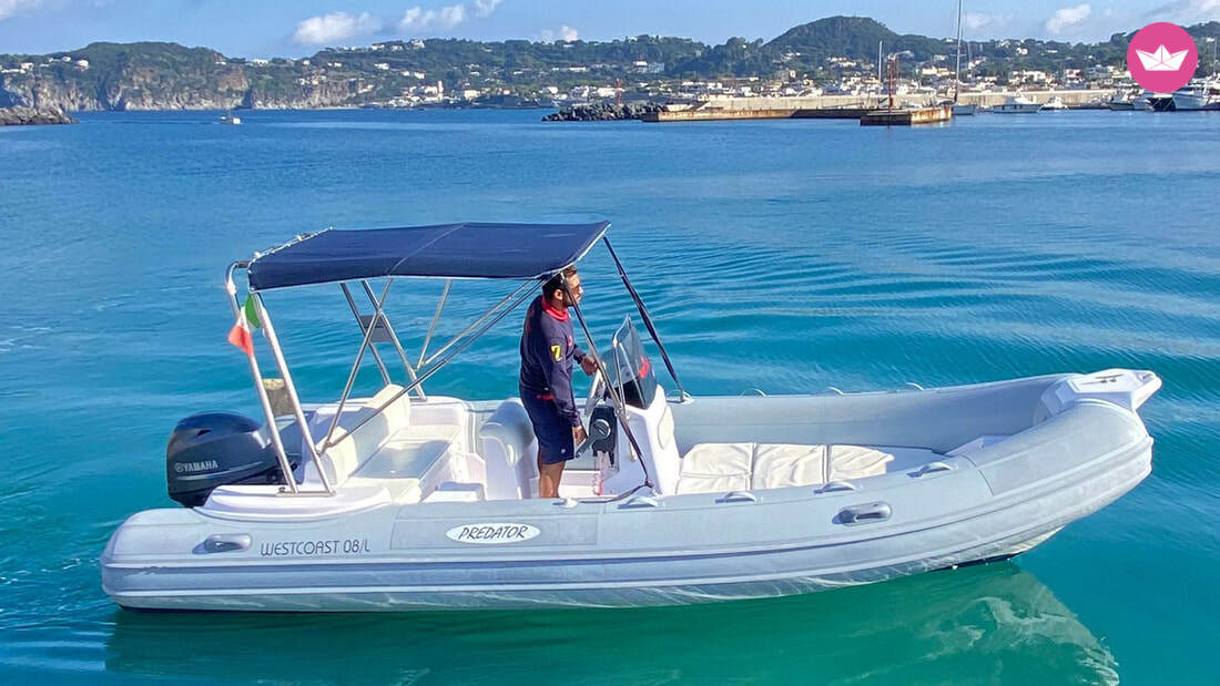 Bateau sans permis Predator 570 (2) 40cv 6