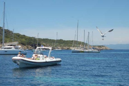 Charter RIB Bwa 850 Eighteen Sainte-Maxime