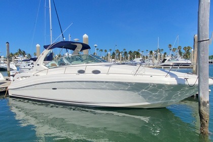 Rental Motorboat Sea Ray Sundancer 40 Miami Beach