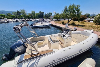 Magnifique Capelli Tempest 775