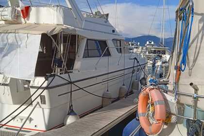 Charter Motorboat Princess Princess 415 Herceg Novi