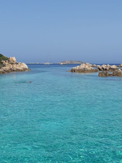 Palau Without license Bsc 50 SPECIAL alt tag text