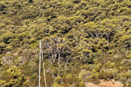 Location Voilier Beneteau First 305 La Seyne-sur-Mer