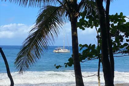 Salida en velero/curso de vela con patrón