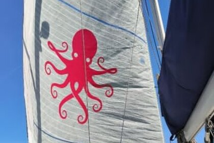 VELERO BAVARIA 44 REBELDE