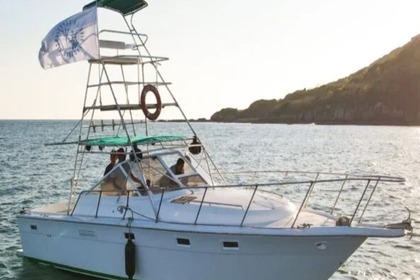 Luhrs 360 Sportfisher