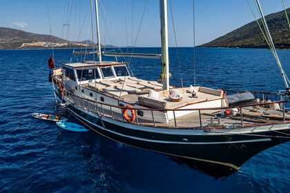 Comfortable Stylish Gulet