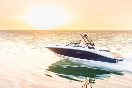 Charter Motorboat Sea Ray 190 Spx Gaienhofen