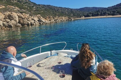 Sortie en mer tout inclus - Capitaine privé - Propriano