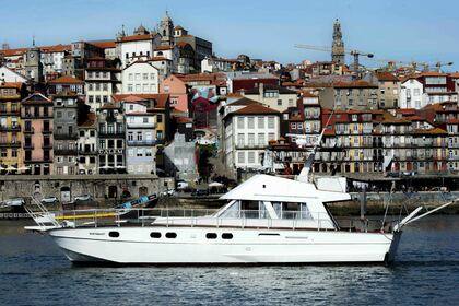 Charter Motorboat Aresa 15E Porto
