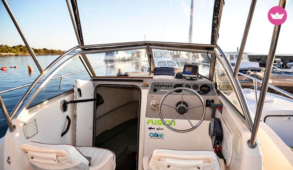 Bayliner Trophy 1802 in Ugljan for hire