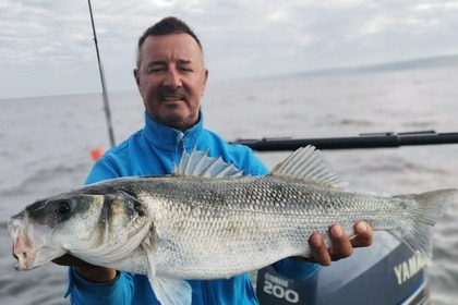 Zodiac SRMN 7,30 / Moteur 200CV