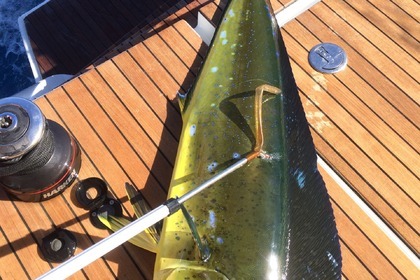Croisière dans la baie où hébergement