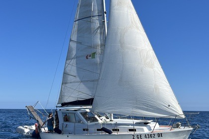 Alquiler Velero Ferretti Altura 33 Grosseto