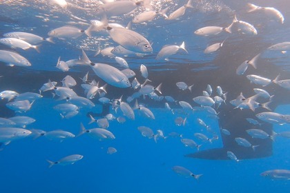 Dufour 430 Grand Large