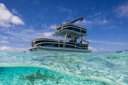 Hire Motorboat Premier 310 Escalante Bora Bora