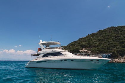 Charter Motorboat Sea Ray 480 sedan bridge Antalya