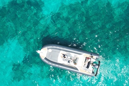 Чартер RIB (надувная моторная лодка) Capelli Capelli Tempest 700 Порто-Веккьо