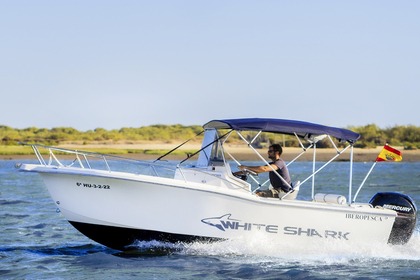 Rental Motorboat White shark 205 La Antilla