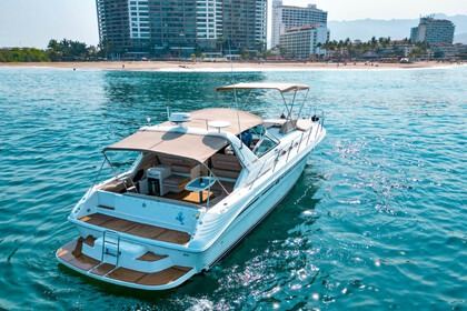 Hire Motorboat Sea Ray 400 Puerto Vallarta