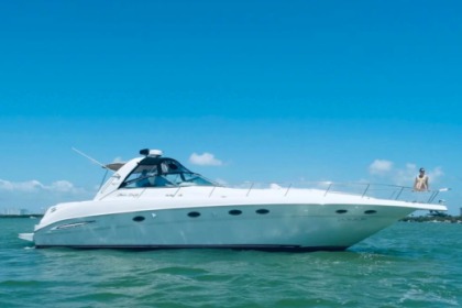Rental Motorboat Sea Ray 46 Cancún