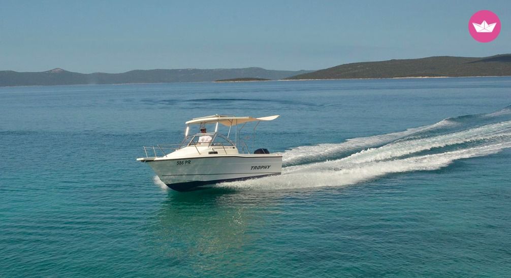 Charter Motorboat Bayliner Trophy 1802 Ugljan