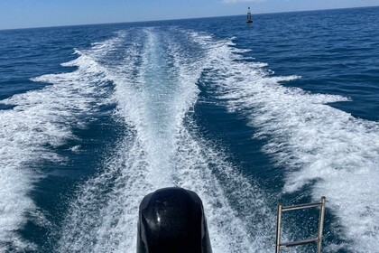 Miete Motorboot Quicksilver Quicksilver 5.5 Carnon Plage