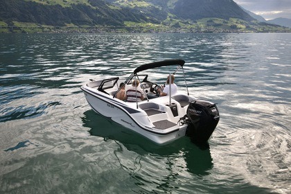 Bayliner Element M17