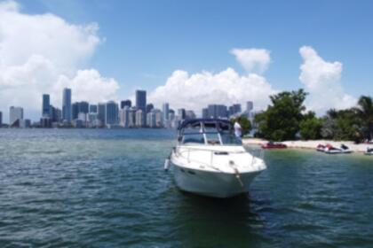 Rental Motorboat Sea Ray 340 Sundancer Miami