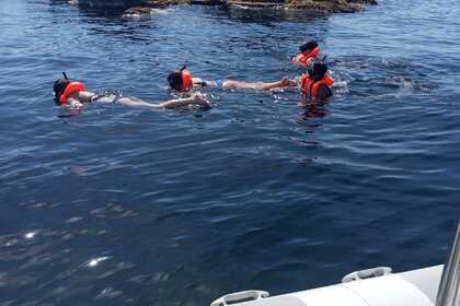 Charter RIB PORTUGUESA SEA RIBS 620 OPEN Alicante