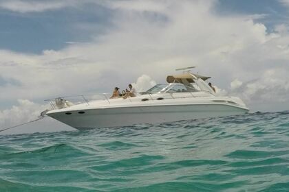 Rental Motorboat SeaRay 41 Cancún