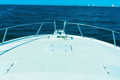 Luhrs 420 Sportfisher