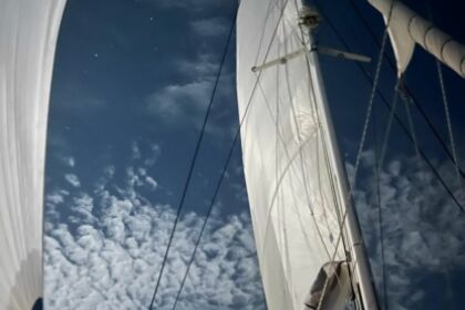 OOSEVEN - LAGOON 560