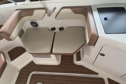 Sea Ray SPXE190 (mit Skipper)