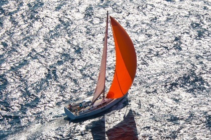Charter Sailboat HANSE 505 Opatija