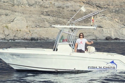 Alquiler Lancha Robalo R 260 cc Acantilados de Los Gigantes