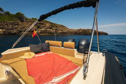 Nuova Jolly N30 Prince (12 pax) 2019