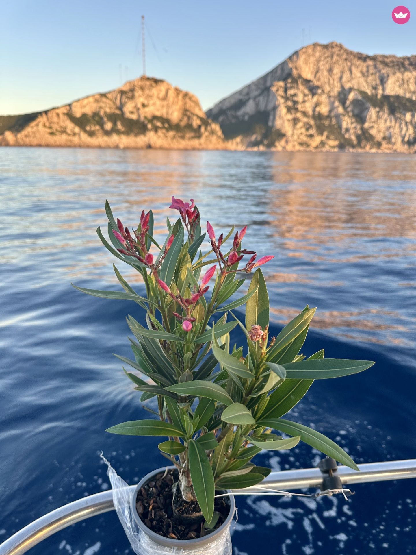 Noleggiare Beneteau Cyclades 50.5