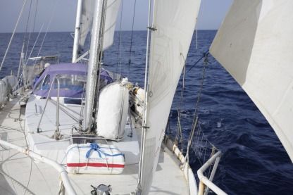 Alquiler Velero Louis Van De Wiel Joshua Ajaccio