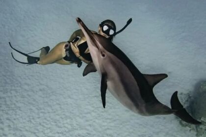 Beneteau Cyclades 50.5