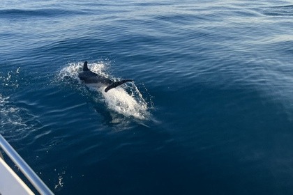 unforgettable excursion